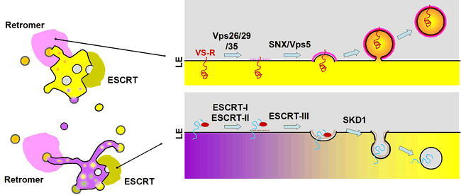 Figure 6.