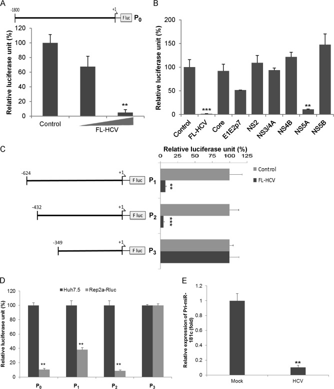 FIG 2