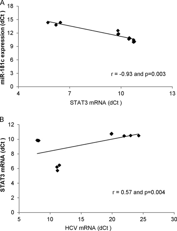 FIG 6