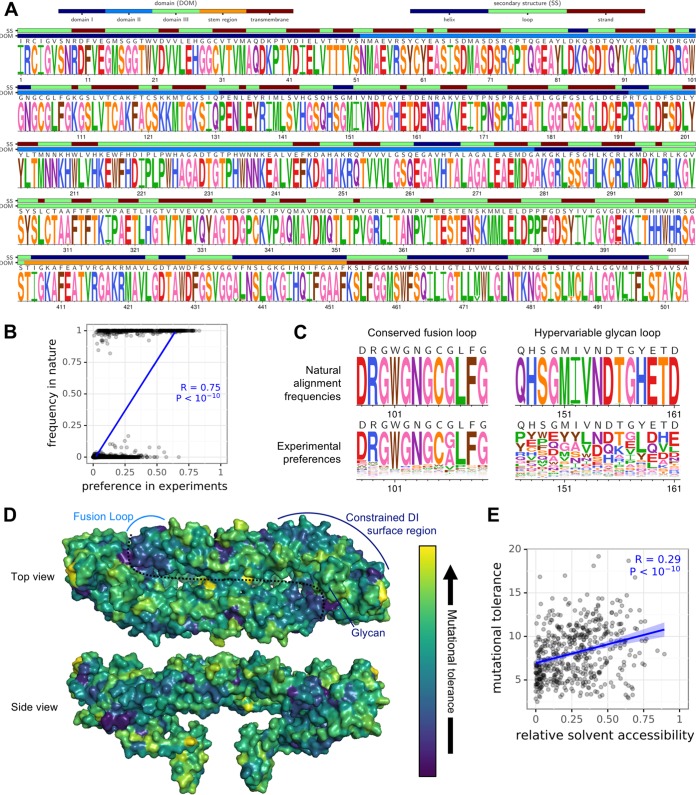 FIG 3