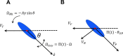 Figure 2—figure supplement 5.