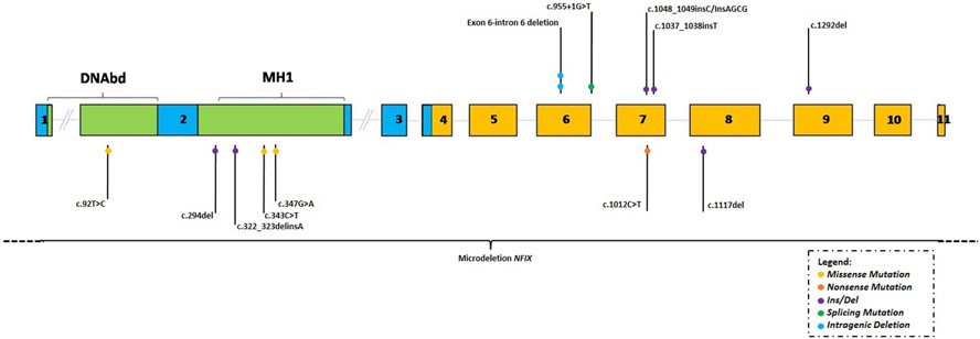 Figure 4.