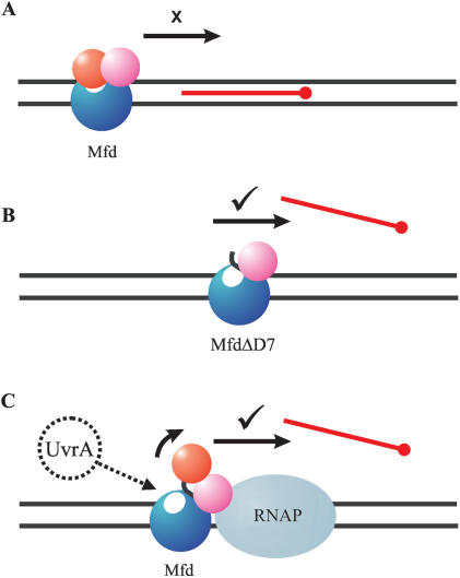 Figure 7.