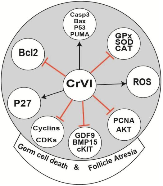 Fig. 9