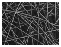 graphic file with name nanomaterials-09-00786-i008.jpg