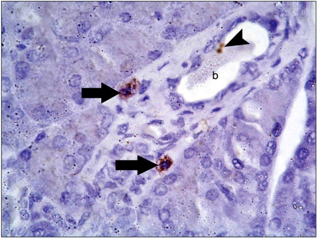 Fig. 7.