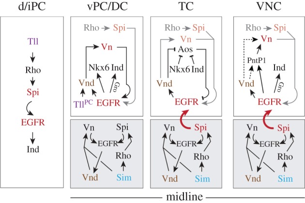 Figure 7.