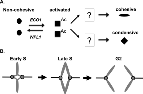 FIGURE 8: