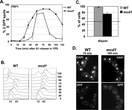 FIGURE 5: