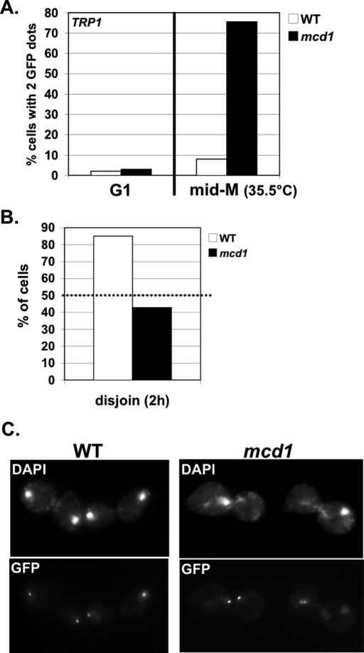 FIGURE 6: