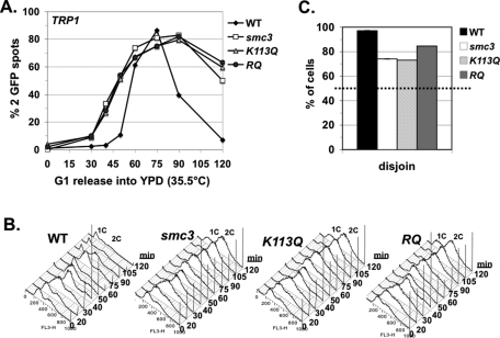 FIGURE 4: