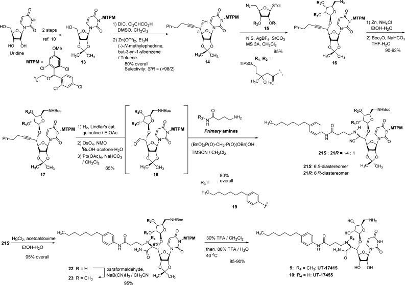 Scheme 1