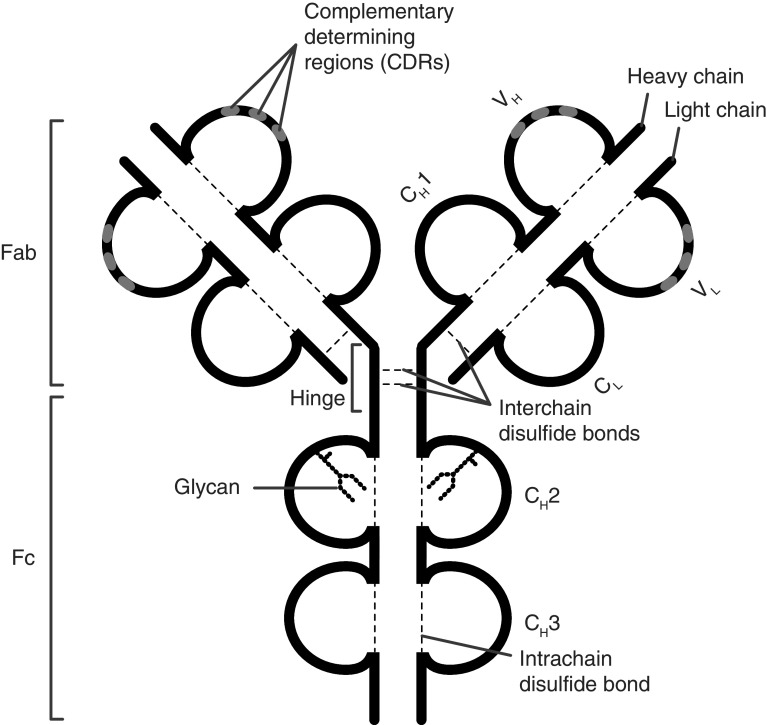 Fig. 1