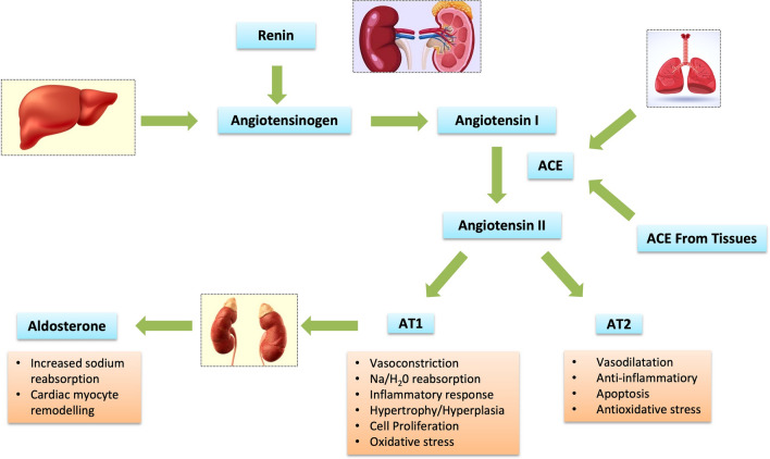 Fig. 1