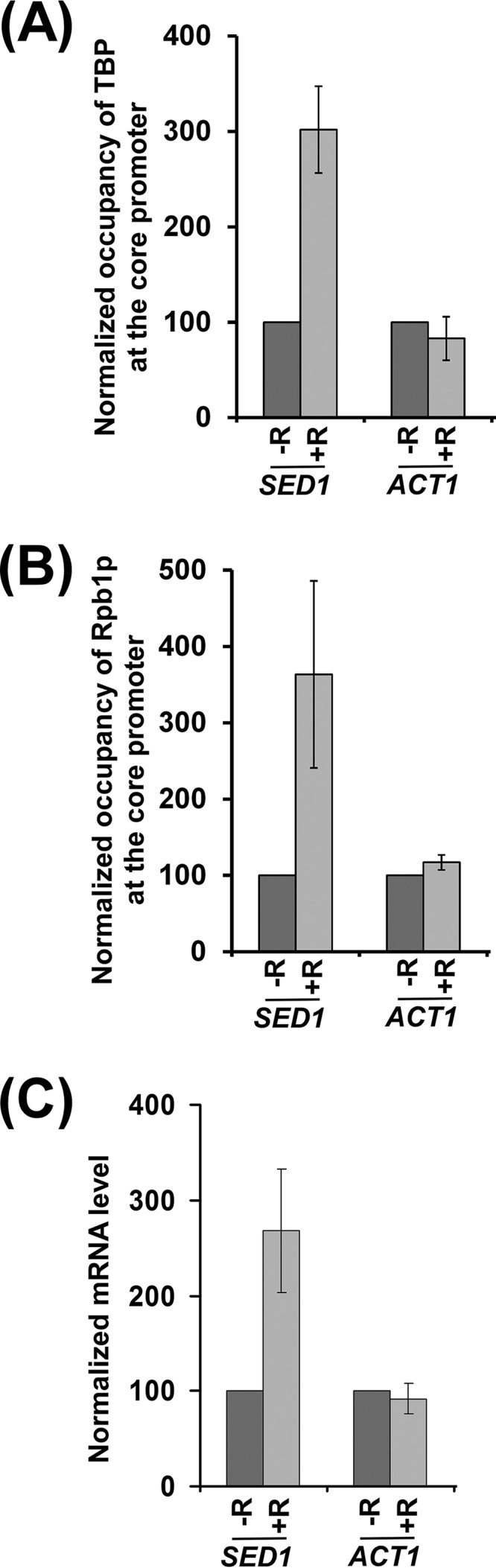 FIG 7