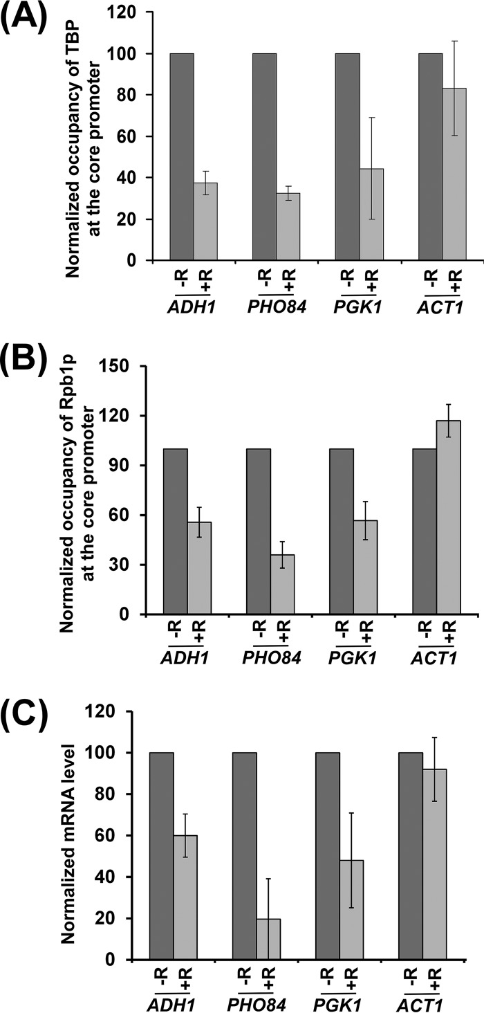 FIG 6