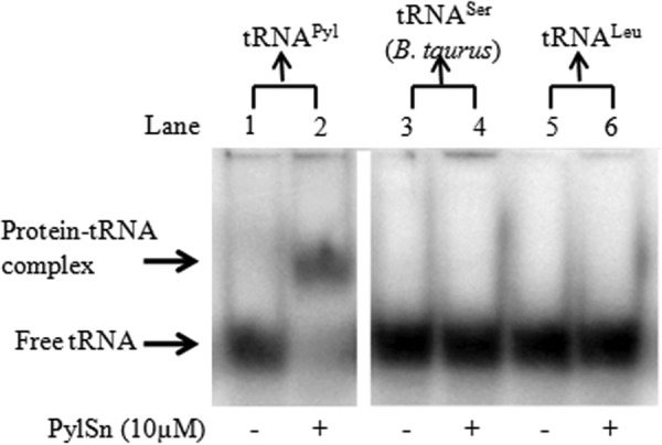 FIGURE 4.