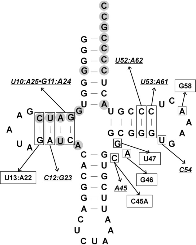 FIGURE 7.