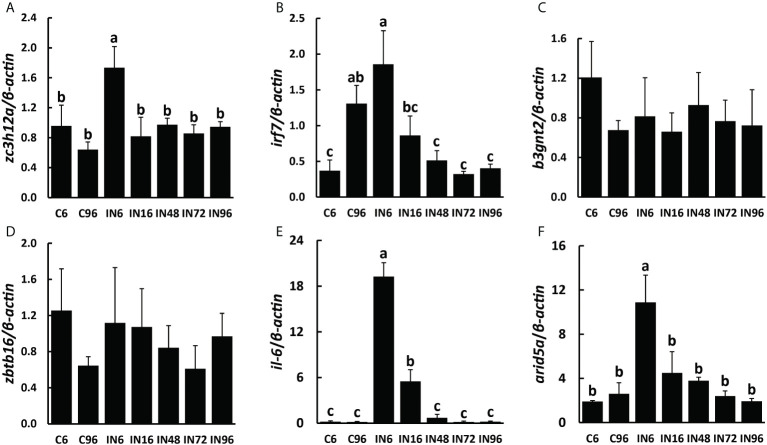 Figure 6