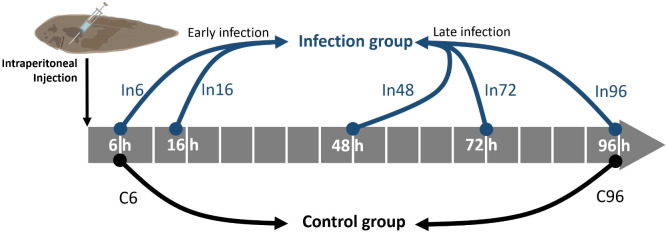 Figure 1