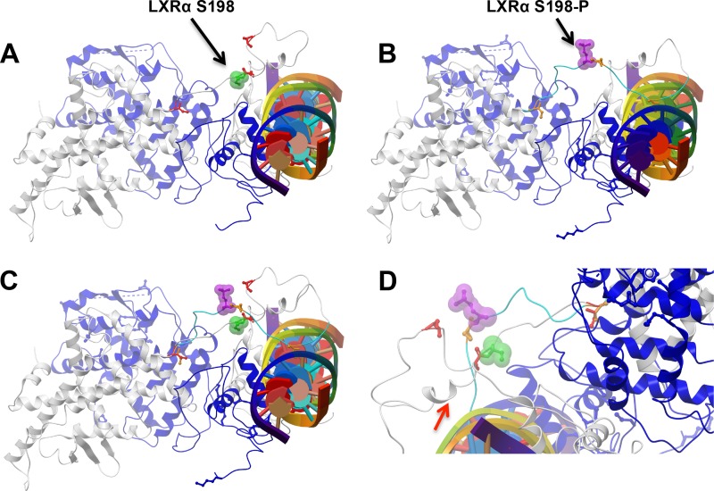 FIG 6