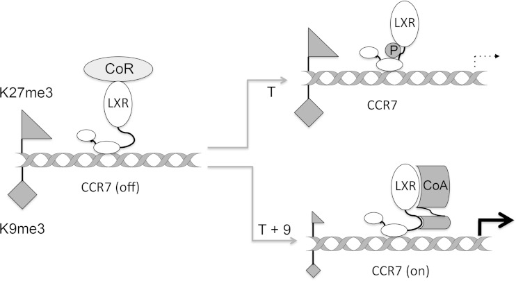 FIG 7