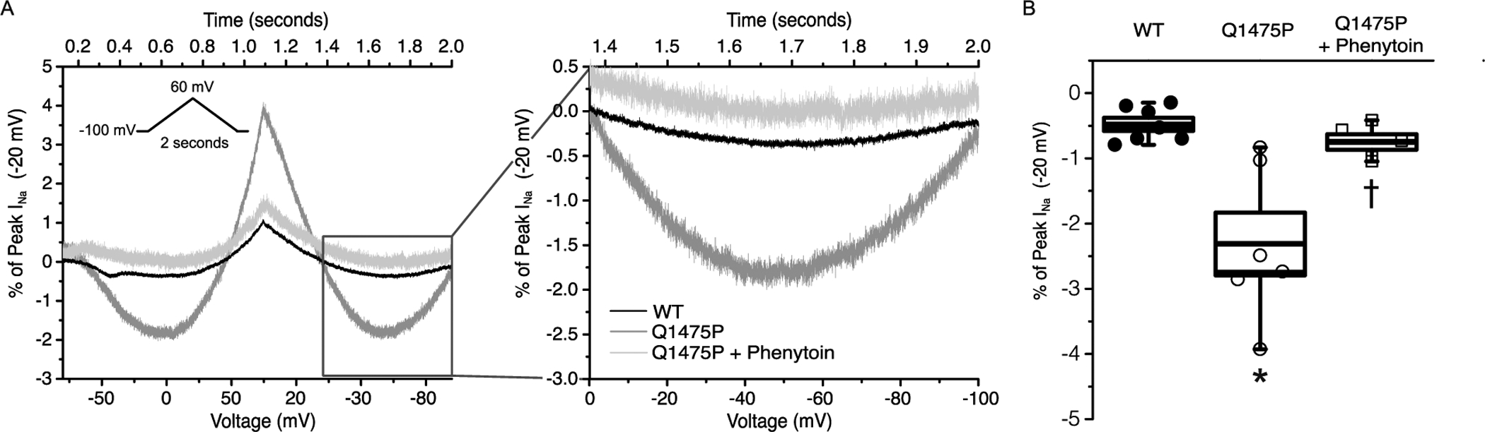 Figure 4: