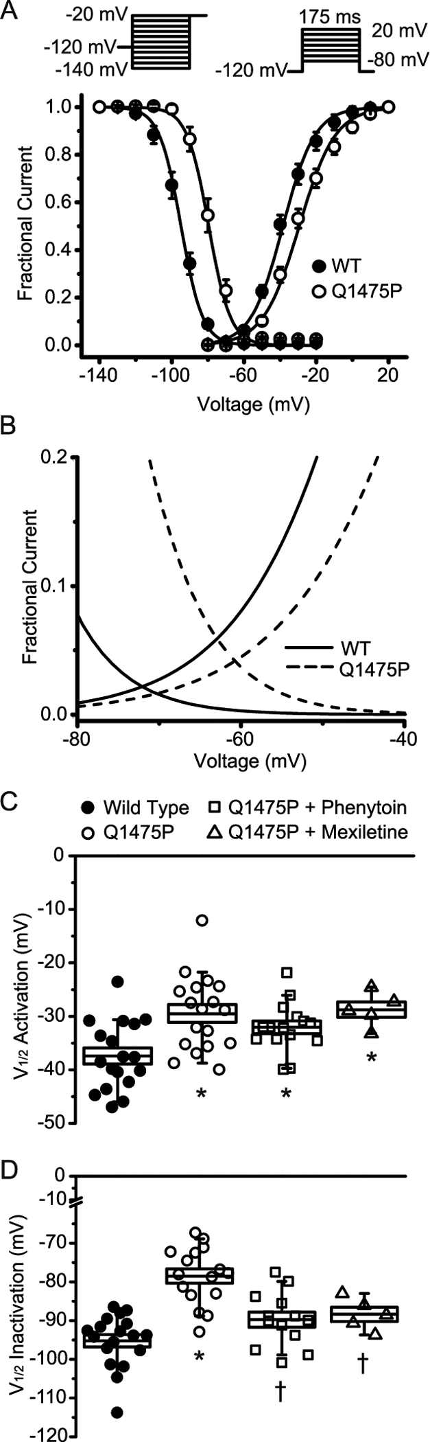 Figure 3: