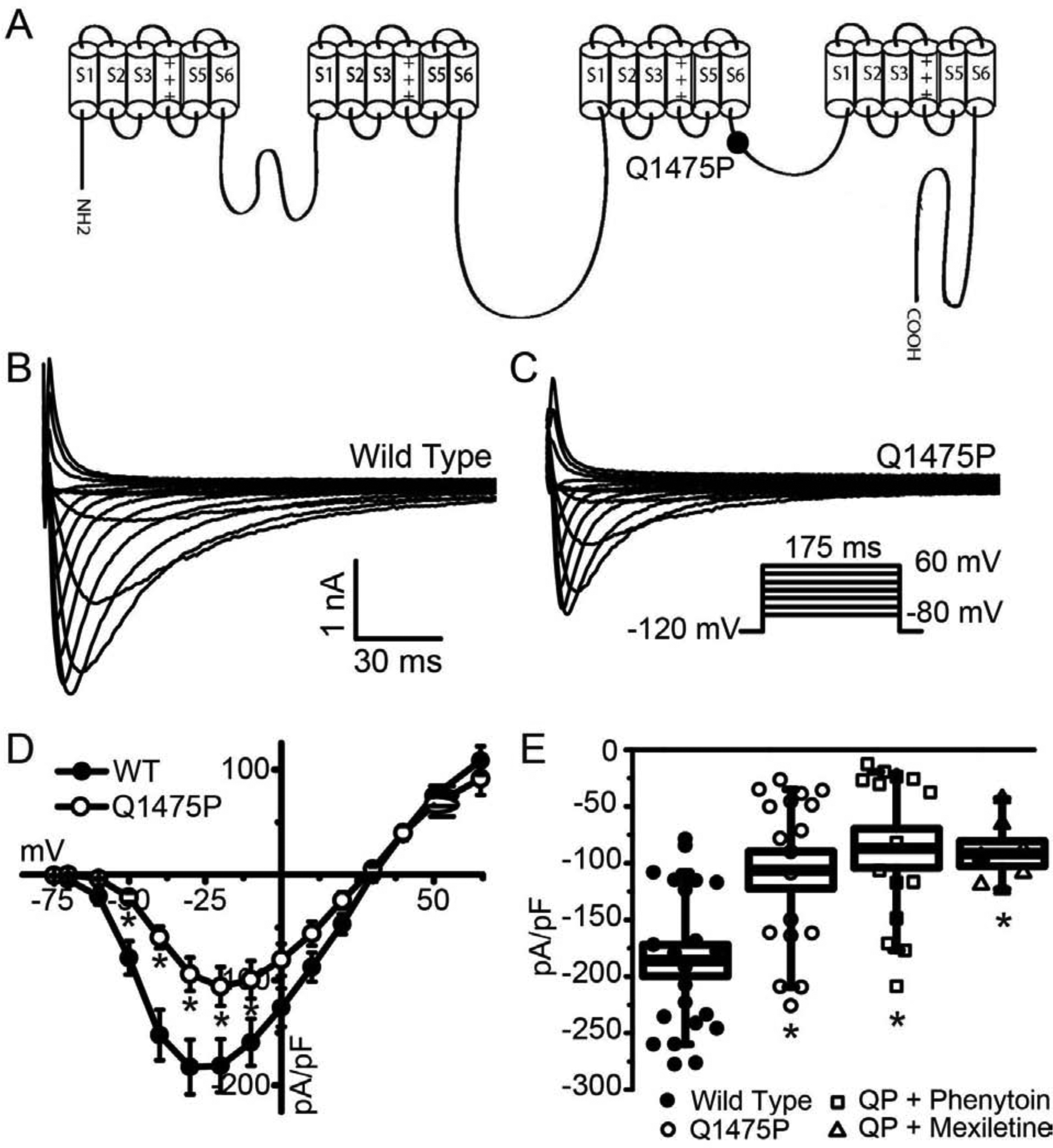 Figure 1: