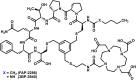 Chemical structure diagram of a complex organic compound. It includes various functional groups such as amides, esters, thiols, and an aromatic benzene ring. The variable X is shown as either CH2 for FAP-2286 or NH for 3BP-3940.