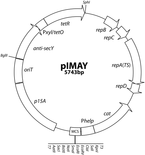 FIG 2 