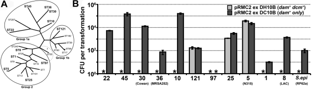 FIG 6 