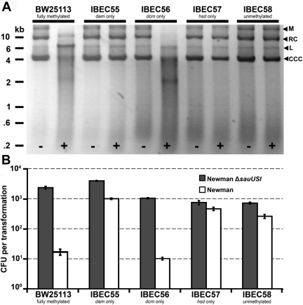 FIG 4 