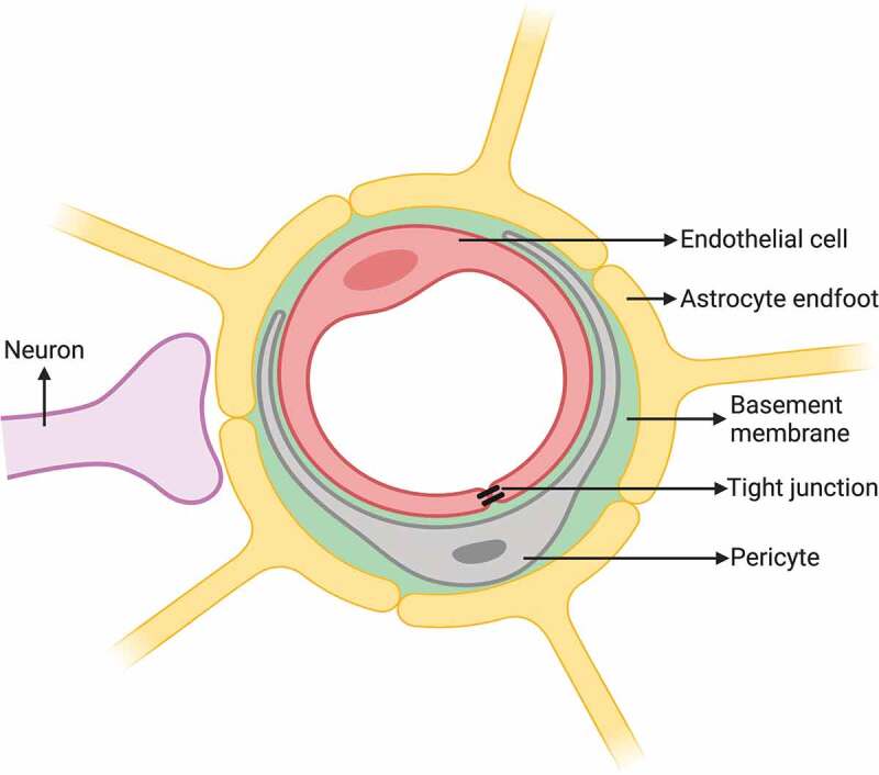 Figure 1.