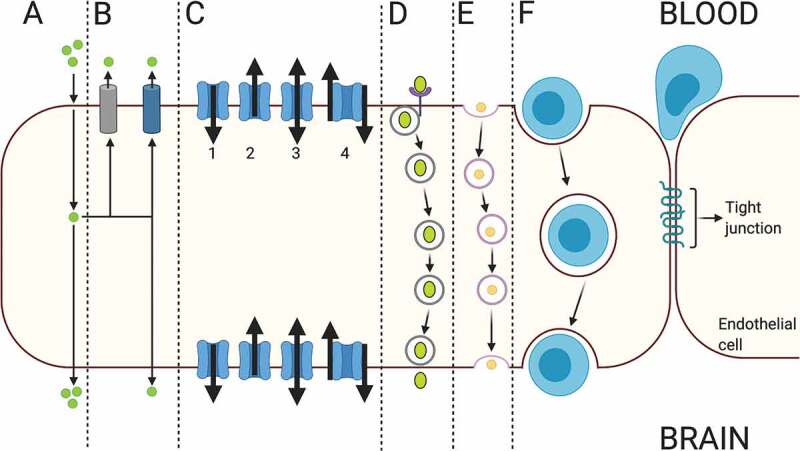 Figure 6.