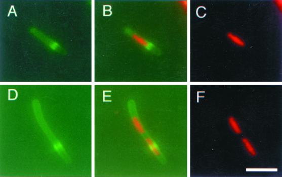 FIG. 7