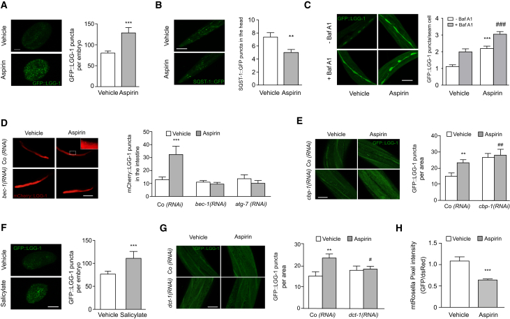 Figure 6