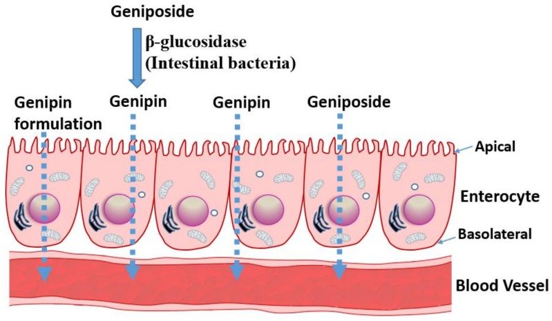 Figure 2