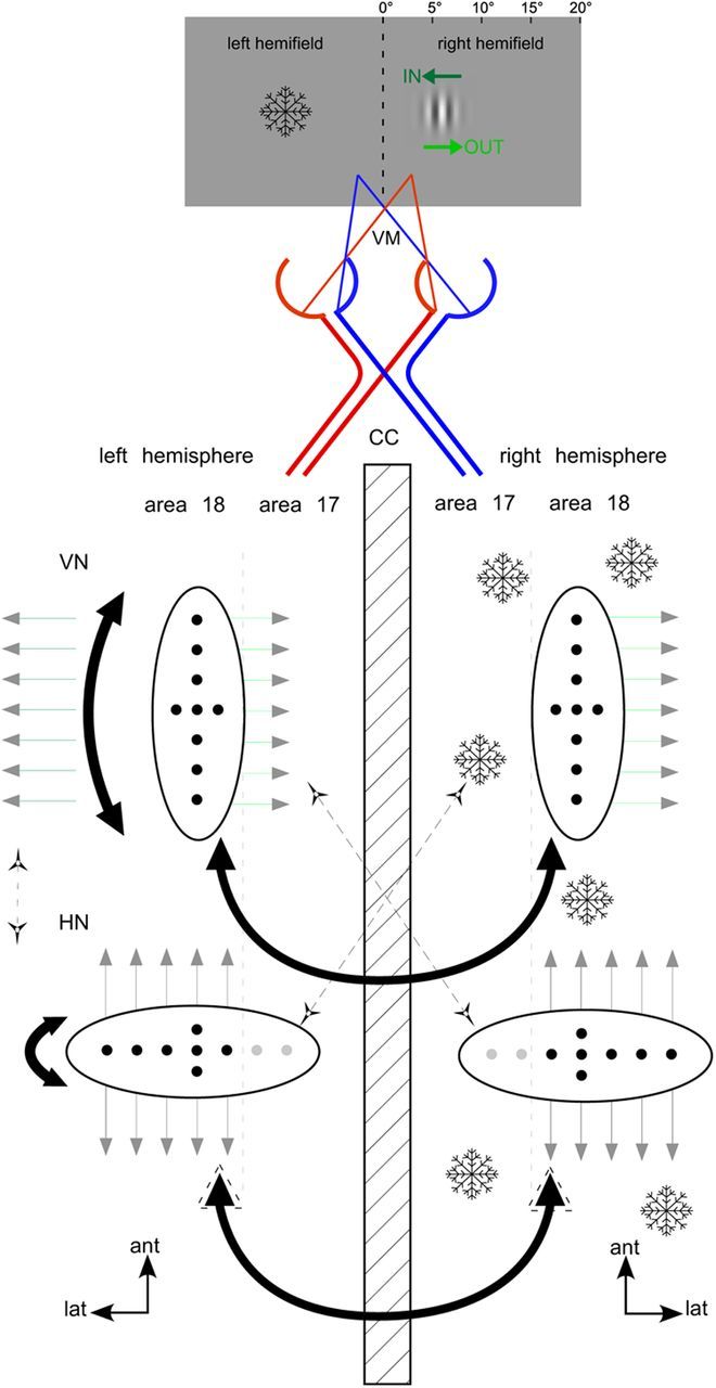 Figure 9.