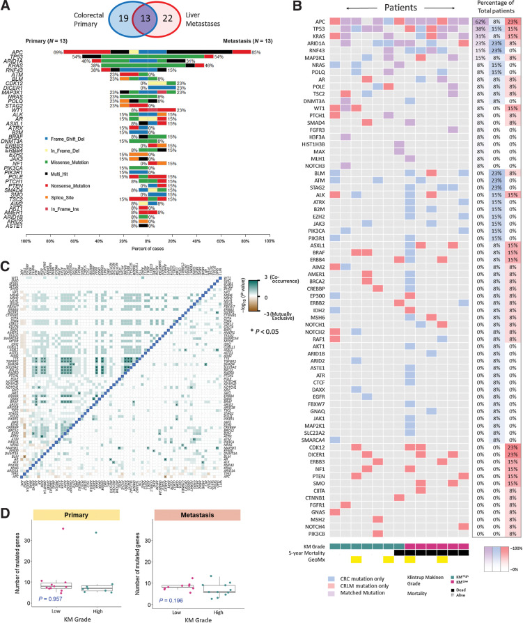 Figure 1. Mutational Characterization of primary colorectal cancer and CRLM. A, Venn diagram demonstrating primary colorectal cancer and CRLM that underwent genomic analysis. Co-Barplot illustrating most frequently mutated genes across 13 matched primary colorectal cancer and CRLM, including mutation type. Genes are ordered by mutational frequency. Sections were sequenced using GPOL (Glasgow Precision Oncology Laboratory) mutational panel. B, Oncoplot demonstrating concurrent mutations in the 13 matched lesions. Patients are ranked according to co-mutational burden on the y-axis and ranked according to KM grade on the x-axis. Blue denotes gene mutated in primary only, red denotes gene mutated in metastasis only, purple denotes mutated in primary and metastasis. The right hand 3 columns denote the percentage of total patients with each mutation type. C, Correlation matrix demonstrating co-occurrence of mutations with left of the blue demarcation line representing primary colorectal cancer, right of the blue demarcation line representing CRLM (pair-wise Fisher's Exact test *, P < 0.05). Gene names are displayed along the x and y-axes ordered by mutational frequency. Dark green boxes represent significant co-occurrence. D, Box plot illustrating mutational burden in primary colorectal cancer and CRLM according to KM grade using the Mann–Whitney test to assess for statistically significant difference between KM groups.