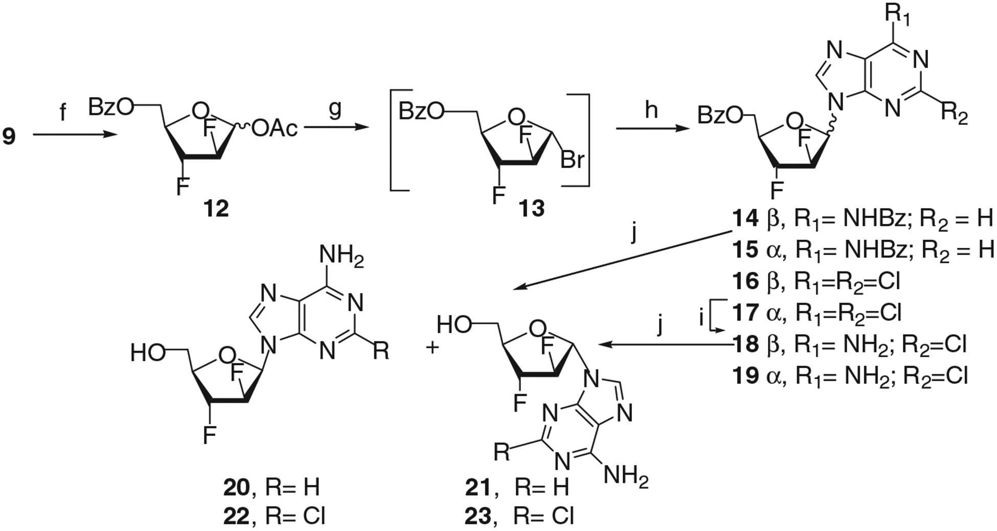 SCHEME 2