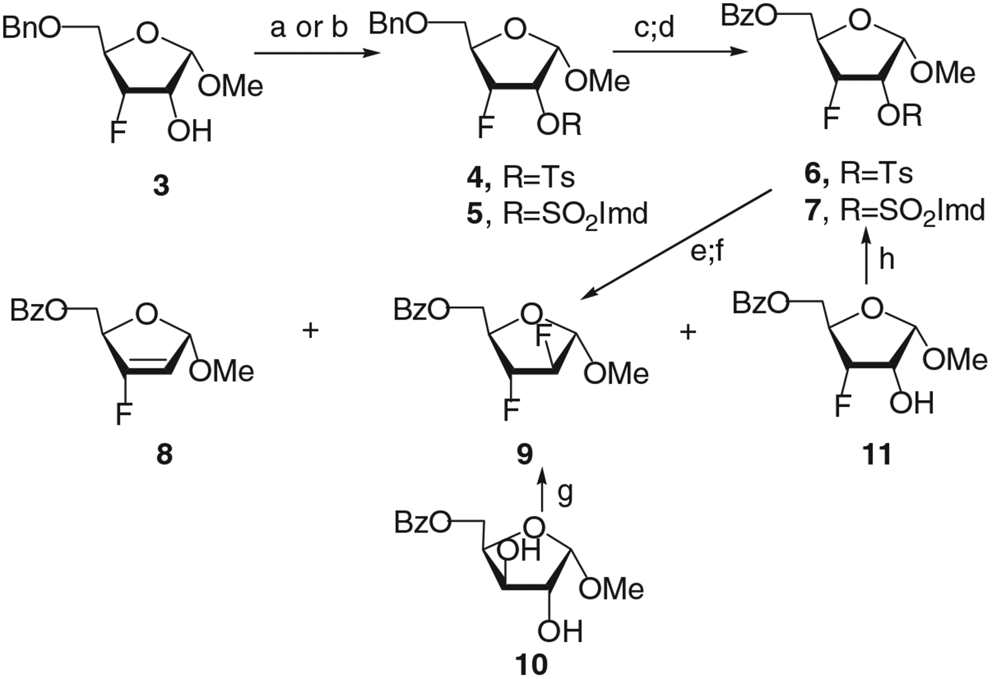 SCHEME 1