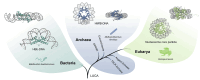 Graphical Abstract