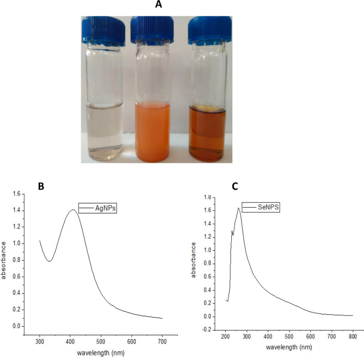 Fig. 2