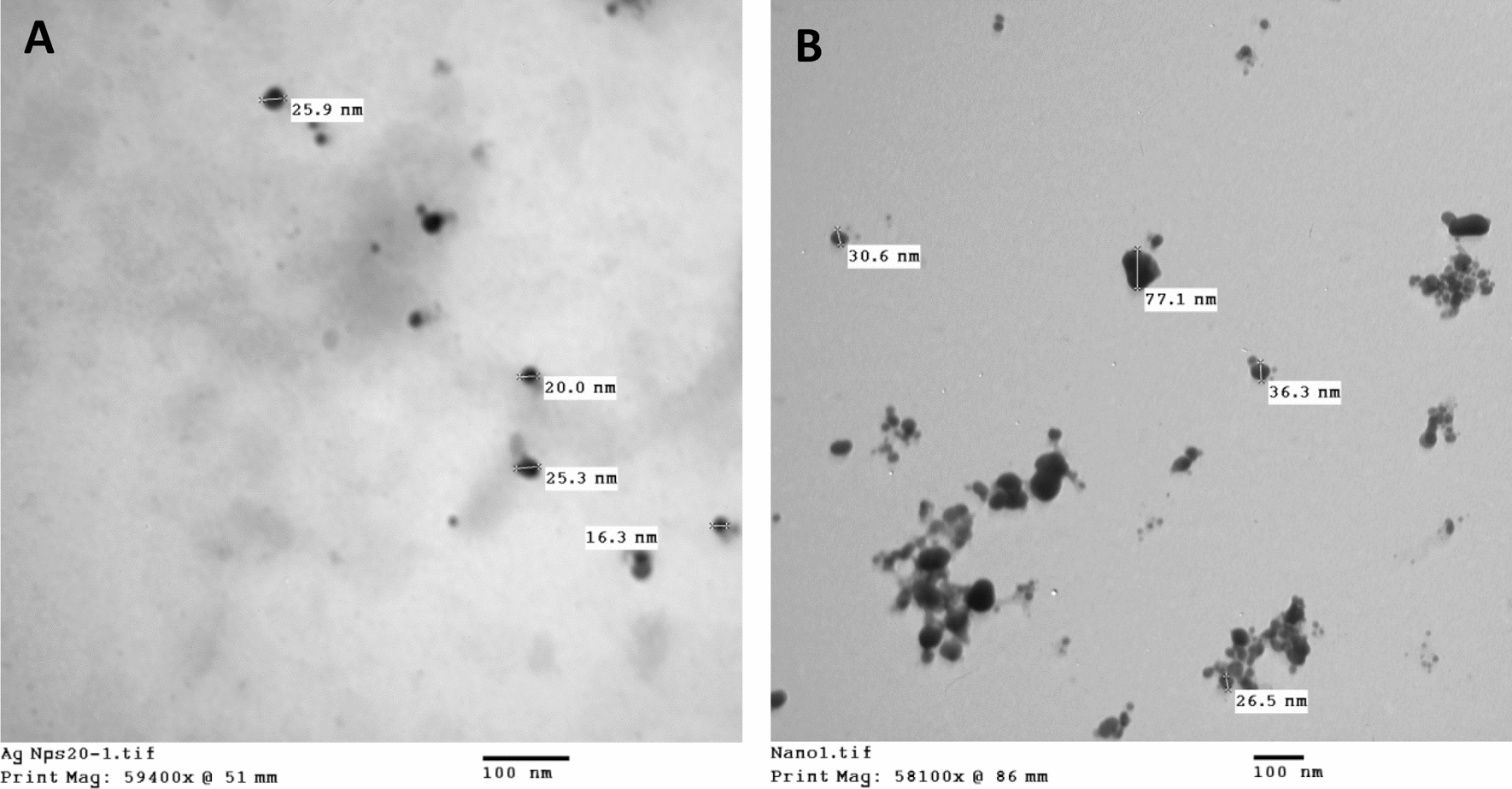 Fig. 3