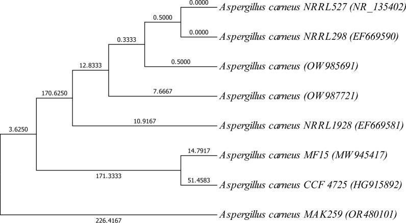 Fig. 1