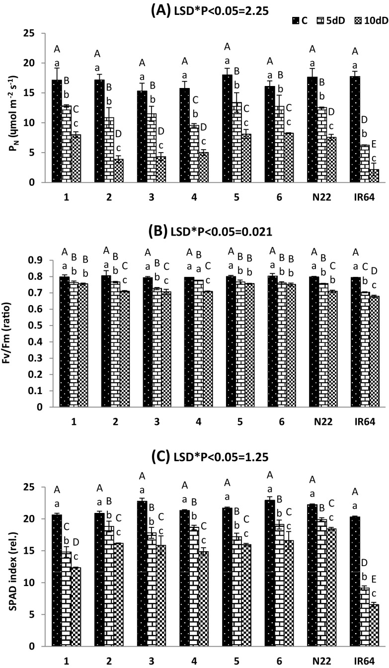 Fig. 1