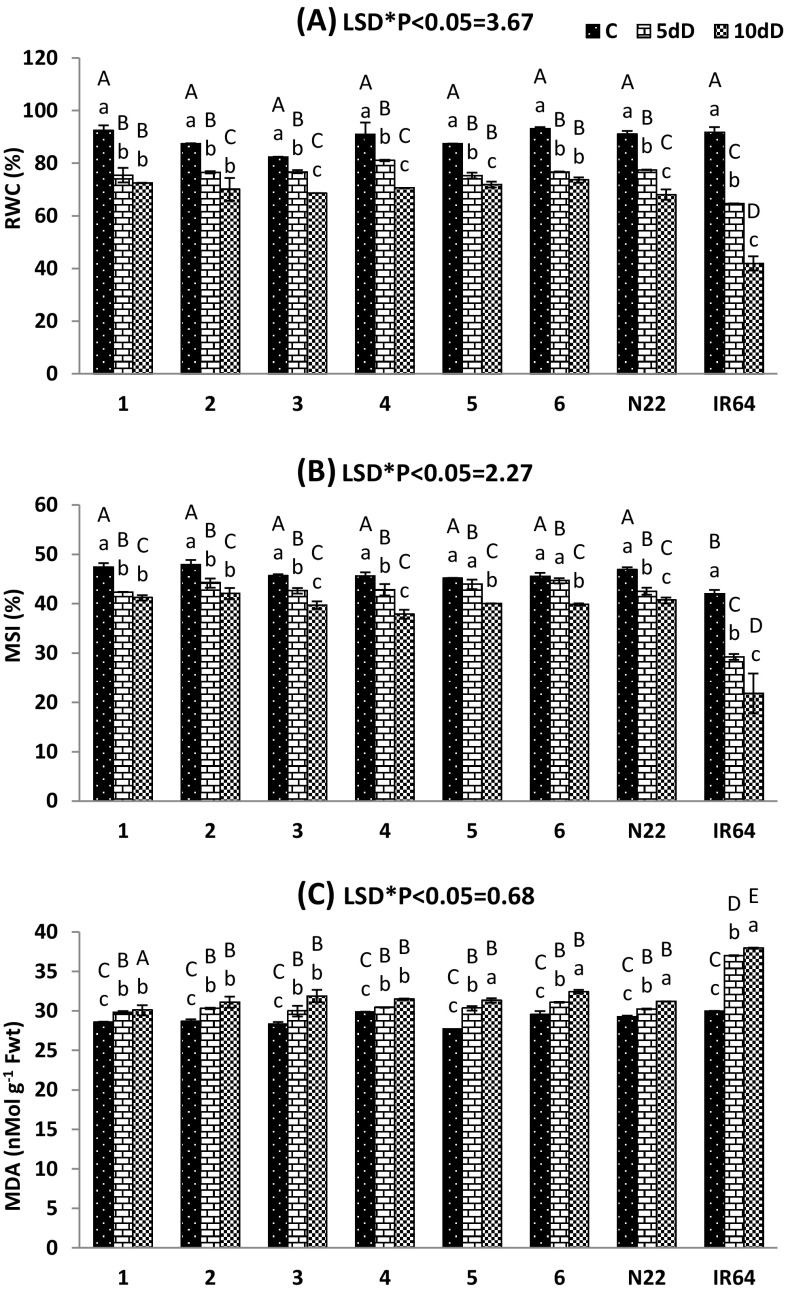 Fig. 2