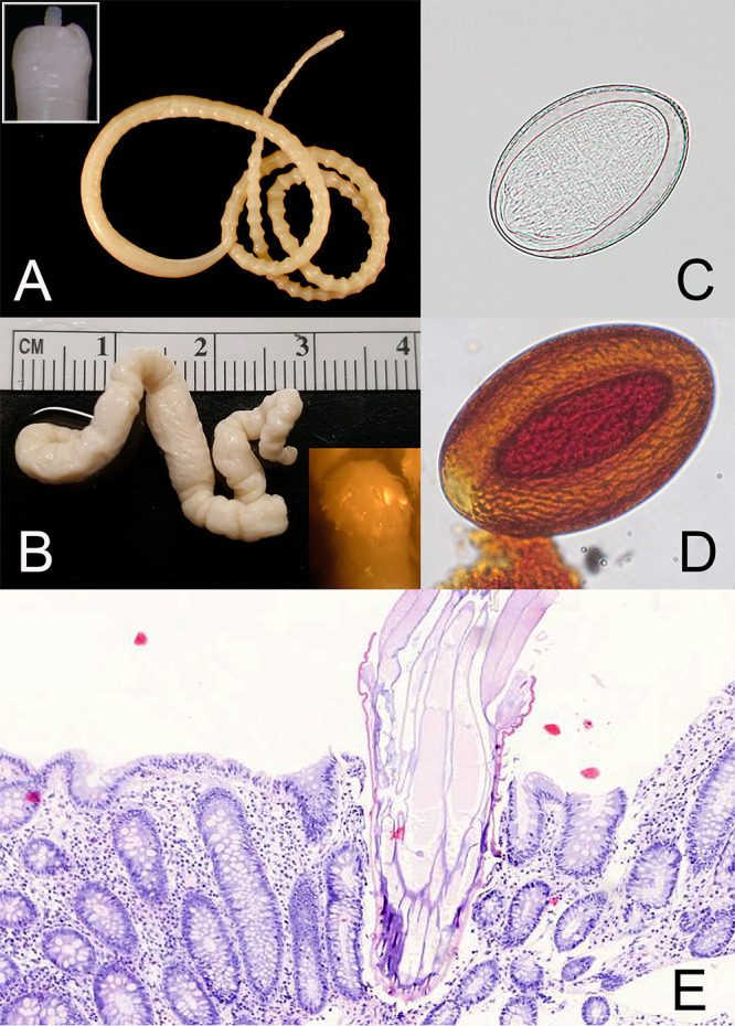 FIG 2