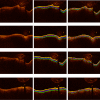 Fig. 4